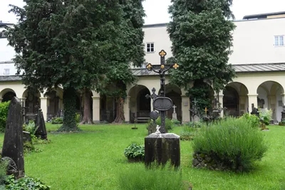 DSC_6105 (Large).JPG